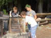 2013-08-30-021
