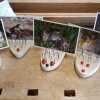 IMG-20230602-WA0016